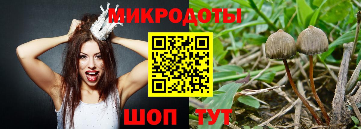 Галлюциногенные грибы мицелий Усолье-Сибирское